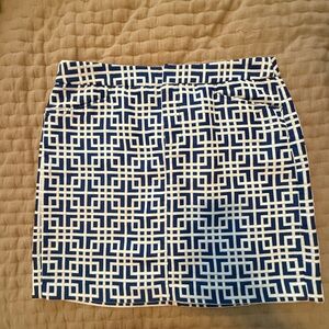 Ann Taylor Loft Mini Skirt